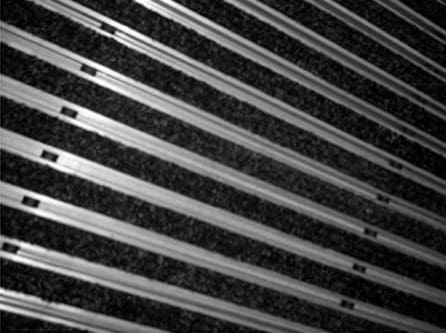 alumata Cord